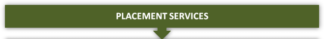 Placement Services